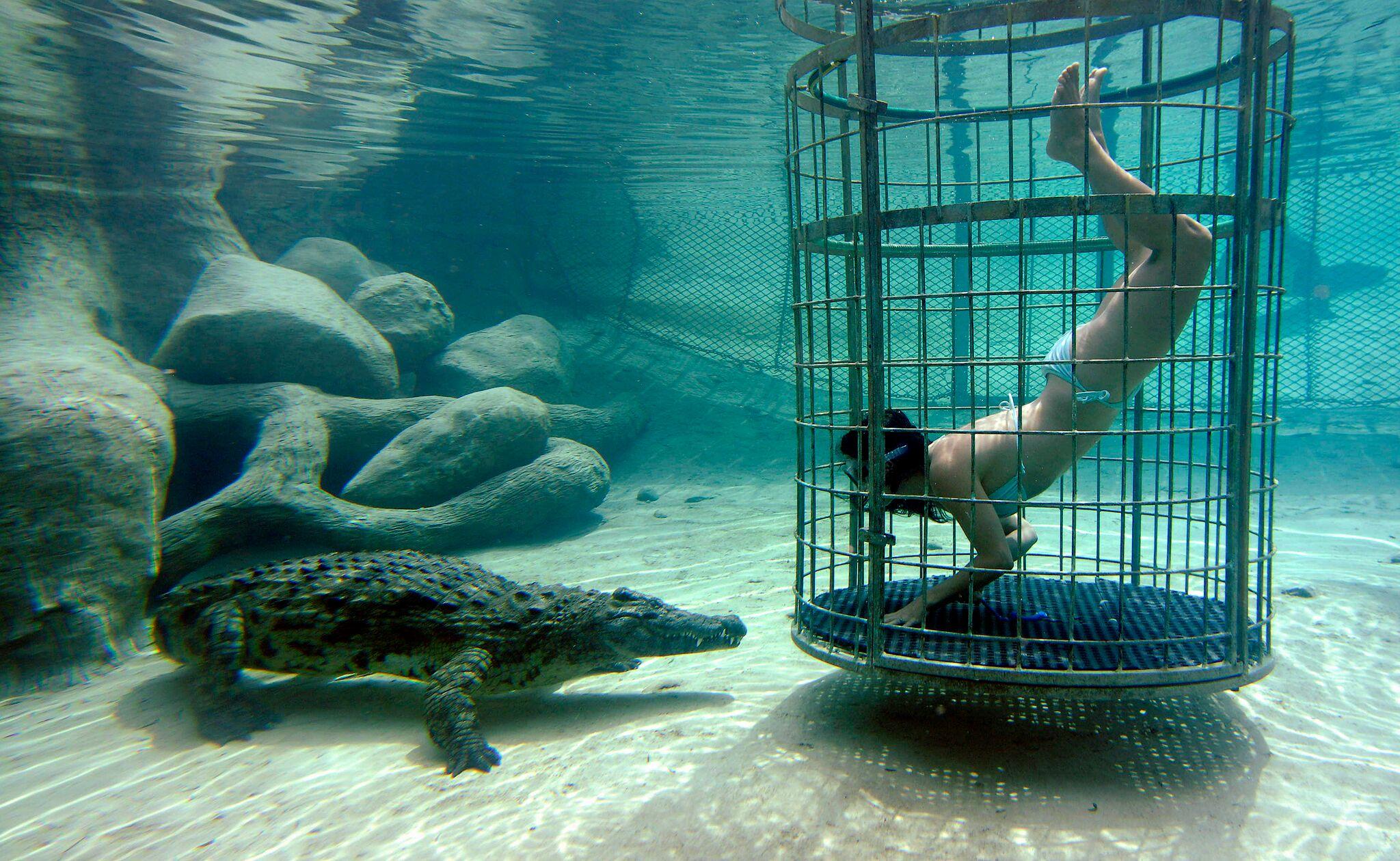 VIP Tours Cango Wildlife Ranch