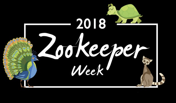 Zookeeper Week